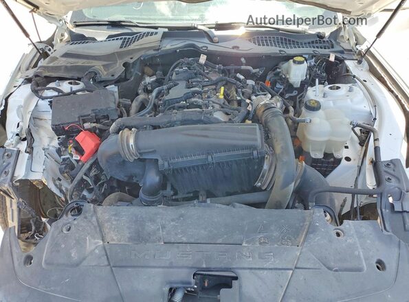 1FA6P8TH3R5111640 2024 FORD MUSTANG White უკანა სალონის ხედი
