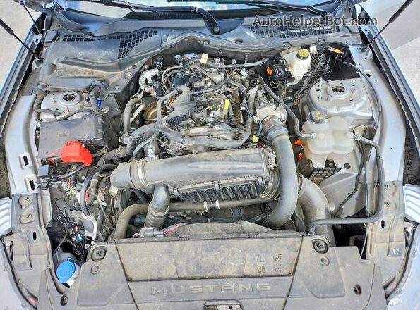 1FA6P8TH3R5126140 2024 FORD MUSTANG Silver Widok wnętrza z tyłu