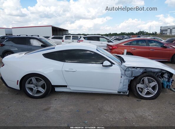 1FA6P8TH3T5110477 2026 FORD MUSTANG White Widok wnętrza z tyłu
