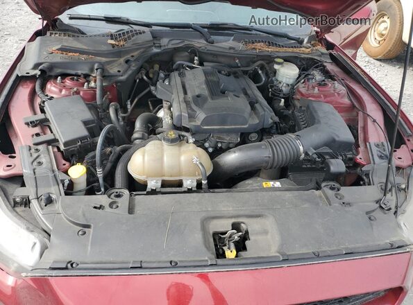 1FA6P8TH4G5205099 2016 FORD MUSTANG Burgundy Սալոնի հետևի տեսք
