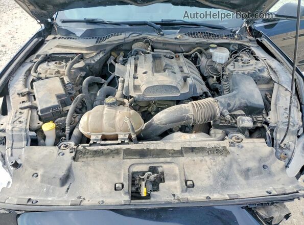 1FA6P8TH4J5117208 2018 FORD MUSTANG Black Սալոնի հետևի տեսք
