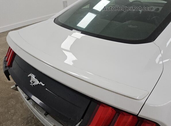 1FA6P8TH4K5162134 2019 FORD MUSTANG White 