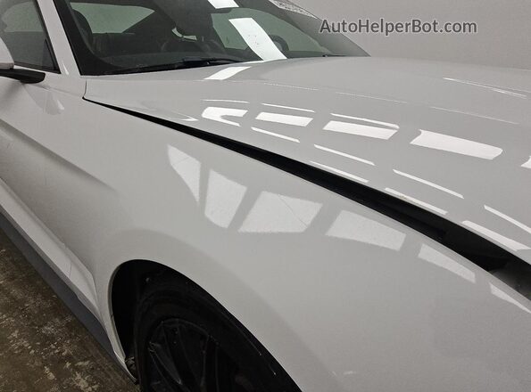 1FA6P8TH4K5162134 2019 FORD MUSTANG White 