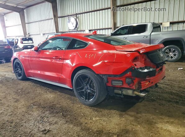 1FA6P8TH4M5100817 2021 FORD MUSTANG Red უკანა მარცხენა