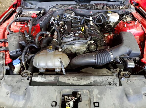 1FA6P8TH4M5100817 2021 FORD MUSTANG Red უკანა სალონის ხედი