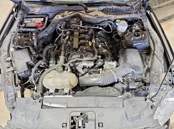 1FA6P8TH4N5114329 2022 FORD MUSTANG Black Սալոնի հետևի տեսք