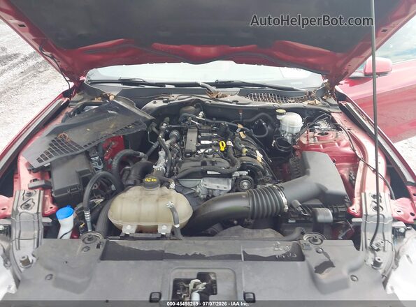 1FA6P8TH4N5130496 2022 FORD MUSTANG Красный Вид сзади