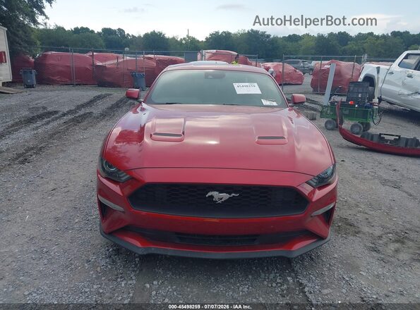 1FA6P8TH4N5130496 2022 FORD MUSTANG Красный Вид задней части салона