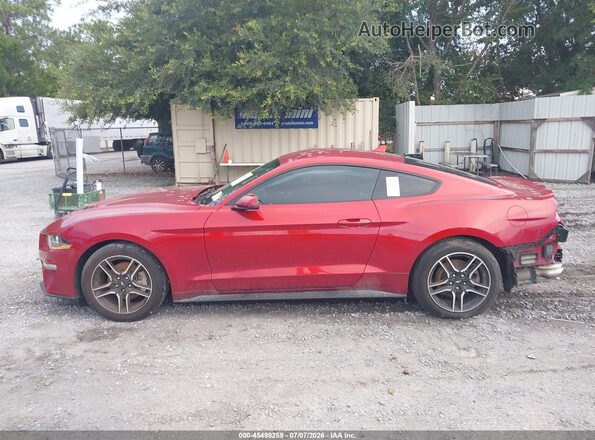 1FA6P8TH4N5130496 2022 FORD MUSTANG Красный 