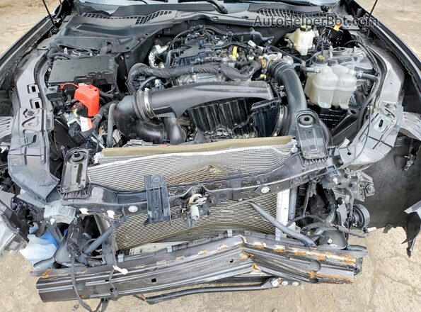 1FA6P8TH4R5117804 2024 FORD MUSTANG Gray უკანა სალონის ხედი