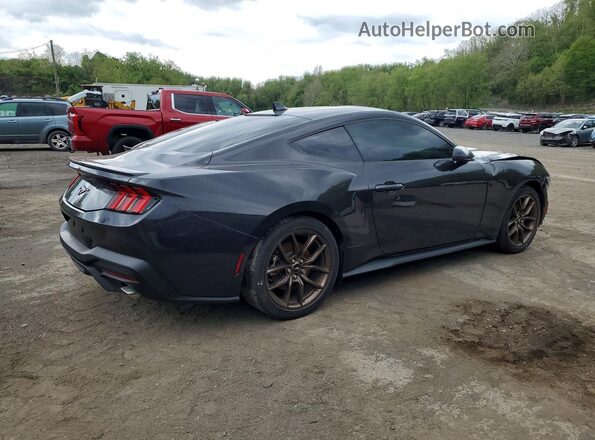 1FA6P8TH4R5117804 2024 FORD MUSTANG Gray უკანა მარჯვენა
