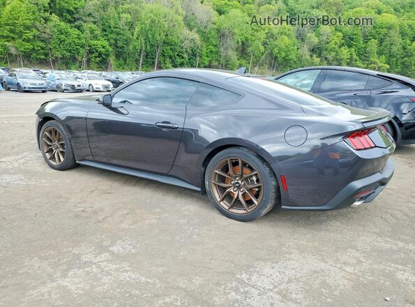 1FA6P8TH4R5117804 2024 FORD MUSTANG Gray უკანა მარცხენა