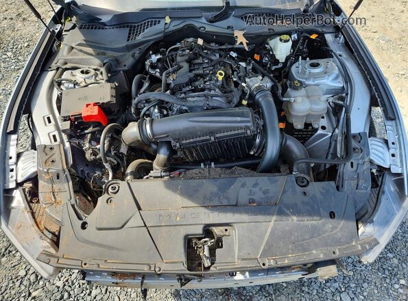 1FA6P8TH4R5143903 2024 FORD MUSTANG Gray Vista interior trasera