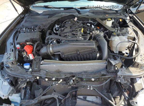 1FA6P8TH4R5145814 2024 FORD MUSTANG Black Rear interior view