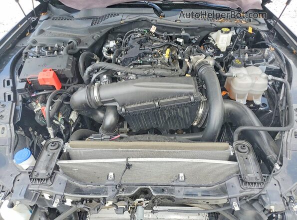 1FA6P8TH4S5116657 2025 FORD MUSTANG Black უკანა სალონის ხედი
