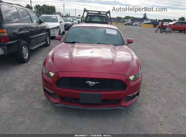 1FA6P8TH5G5290681 2016 FORD MUSTANG Maroon Вид задньої частини салону