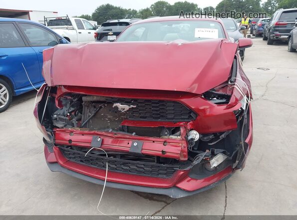 1FA6P8TH5H5282016 2017 FORD MUSTANG Burgundy Rear interior view