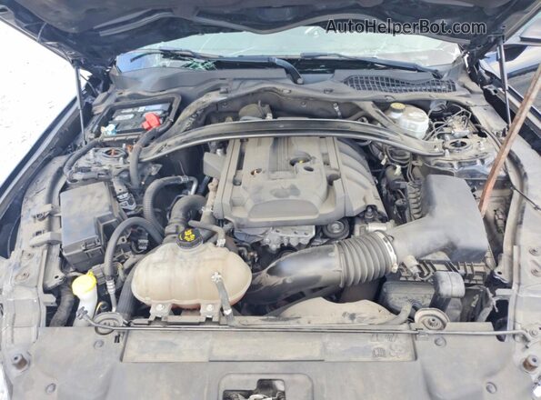 1FA6P8TH5K5119213 2019 FORD MUSTANG Black Սալոնի հետևի տեսք