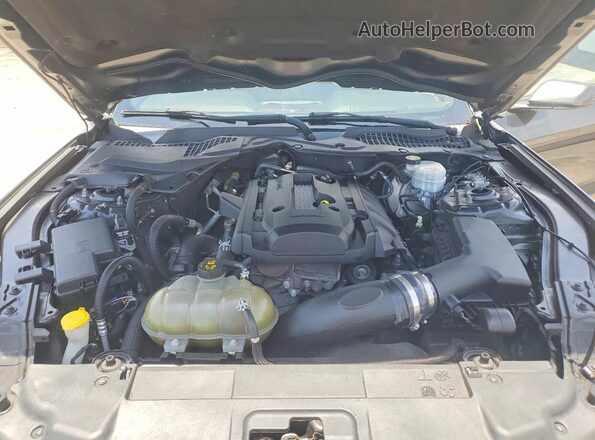 1FA6P8TH5K5166435 2019 FORD MUSTANG Gray Սալոնի հետևի տեսք