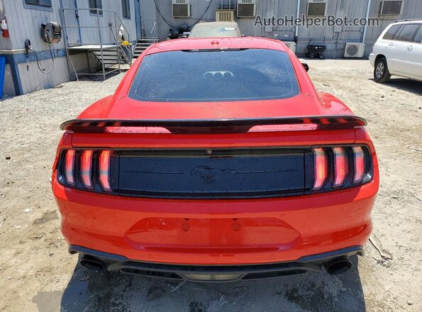 1FA6P8TH5K5176799 2019 FORD MUSTANG Red Widok z tyłu
