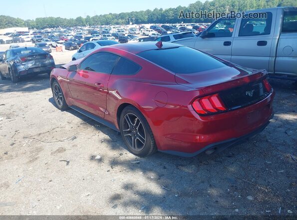 1FA6P8TH5M5155471 2021 FORD MUSTANG Red უკანა მარცხენა