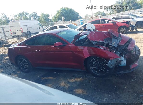 1FA6P8TH5M5155471 2021 FORD MUSTANG Red უკანა სალონის ხედი