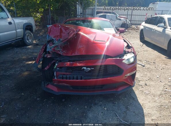 1FA6P8TH5M5155471 2021 FORD MUSTANG Red ხელსაწყოთა პანელის ხედი