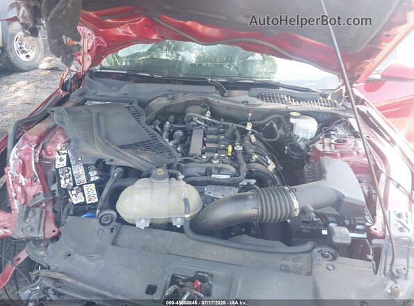1FA6P8TH5M5155471 2021 FORD MUSTANG Red უკანა ხედი