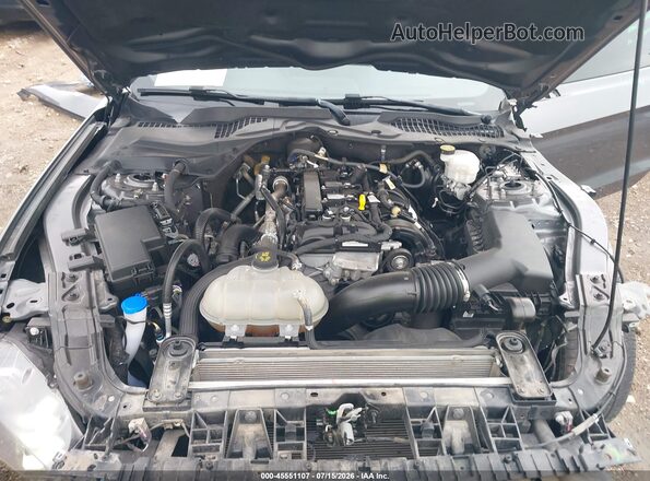 1FA6P8TH5P5113001 2023 FORD MUSTANG Gray უკანა ხედი