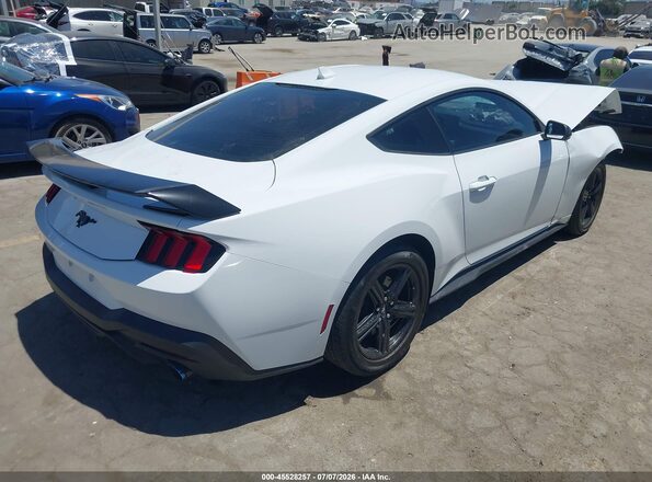 1FA6P8TH5S5130227 2025 FORD MUSTANG White Tył prawy