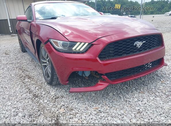 1FA6P8TH6G5241537 2016 FORD MUSTANG Красный Вид спереди