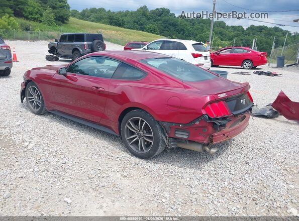 1FA6P8TH6G5241537 2016 FORD MUSTANG Красный Задняя левая четверть