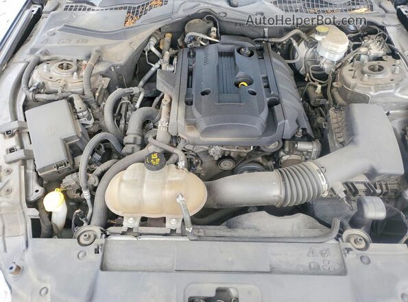 1FA6P8TH6K5105840 2019 FORD MUSTANG Gray უკანა სალონის ხედი