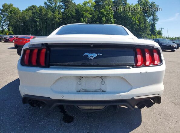 1FA6P8TH6M5127730 2021 FORD MUSTANG Белый Вид сзади