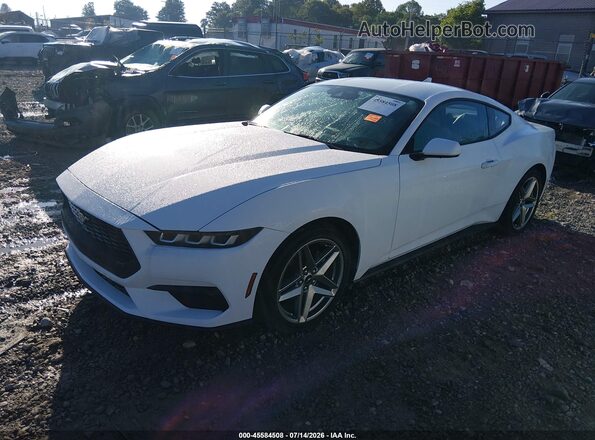 1FA6P8TH6R5113446 2024 FORD MUSTANG White Vista tres cuartos delantera izquierda