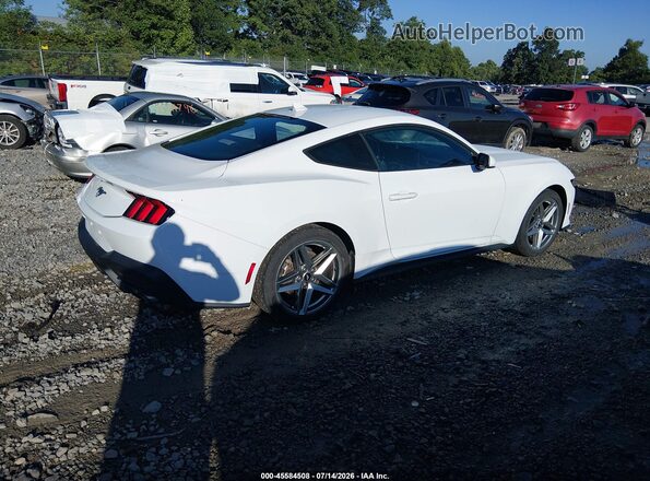1FA6P8TH6R5113446 2024 FORD MUSTANG White Trasero derecho