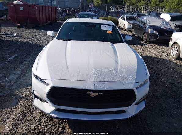 1FA6P8TH6R5113446 2024 FORD MUSTANG White Vista frontal