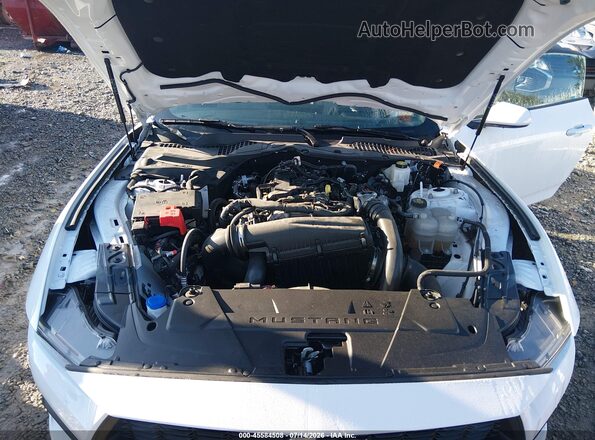 1FA6P8TH6R5113446 2024 FORD MUSTANG White Vista trasera