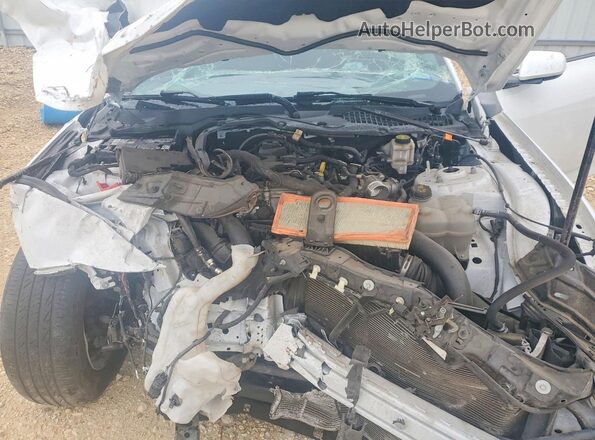 1FA6P8TH6R5118369 2024 FORD MUSTANG Белый Вид задней части салона