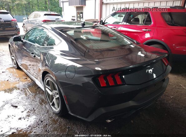 1FA6P8TH6R5141196 2024 FORD MUSTANG Black Rear left