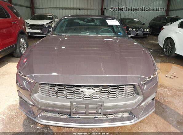 1FA6P8TH6R5141196 2024 FORD MUSTANG Black Front view