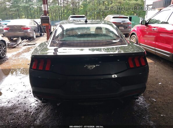 1FA6P8TH6R5141196 2024 FORD MUSTANG Black 