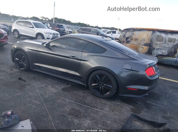 1FA6P8TH7H5259188 2017 FORD MUSTANG Gray Задня ліва чверть
