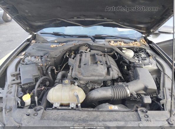 1FA6P8TH7H5259188 2017 FORD MUSTANG Gray Вид ззаду