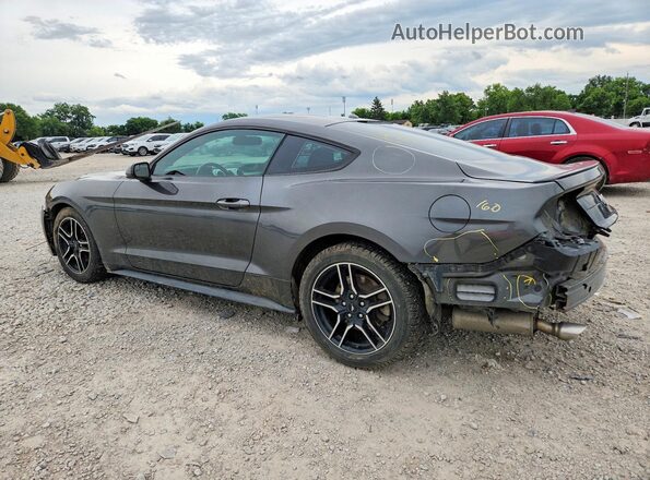 1FA6P8TH7K5167537 2019 FORD MUSTANG Gray Rear left