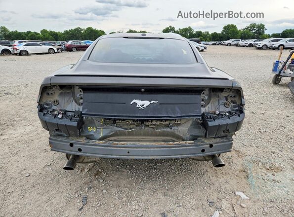1FA6P8TH7K5167537 2019 FORD MUSTANG Gray Rear view