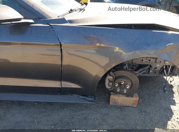 1FA6P8TH7K5194916 2019 FORD MUSTANG Gray 