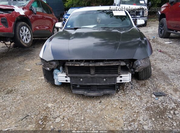 1FA6P8TH7R5107798 2024 FORD MUSTANG White Rear interior view