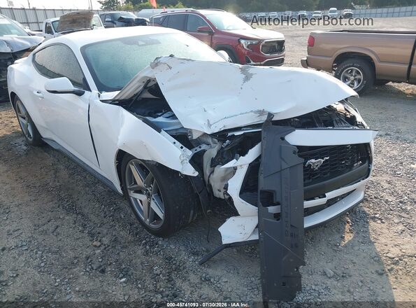 1FA6P8TH7R5111849 2024 FORD MUSTANG White Widok z przodu