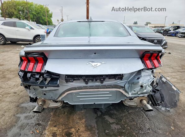 1FA6P8TH7R5113231 2024 FORD MUSTANG Silver Вид ззаду